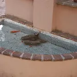 El Rancho 3* بيفانيا